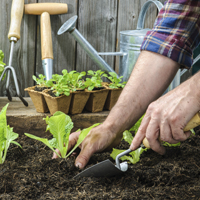 jardinería